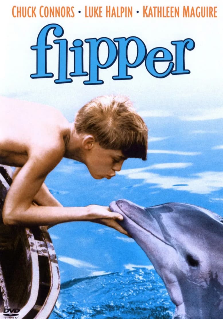 flipper movie 1963 - Chuck Connors Luke Halpin Kathleen Maguire flipper Bvd Video